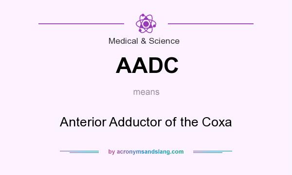 What does AADC mean? It stands for Anterior Adductor of the Coxa