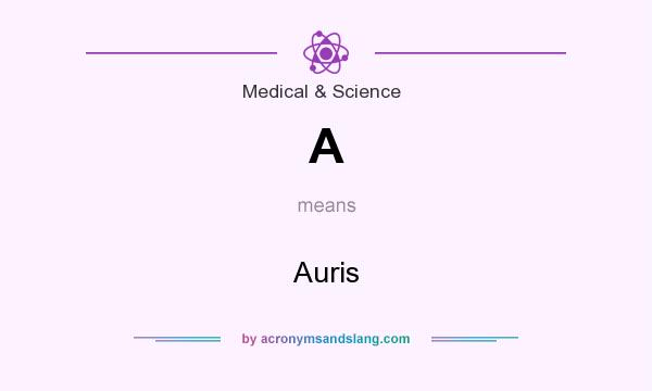 What does A mean? It stands for Auris