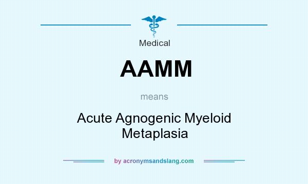 What does AAMM mean? It stands for Acute Agnogenic Myeloid Metaplasia