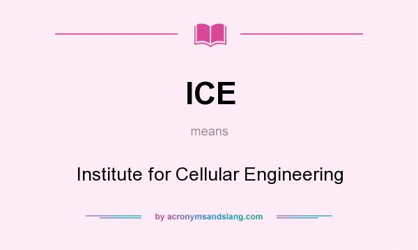 What does ICE mean? It stands for Institute for Cellular Engineering