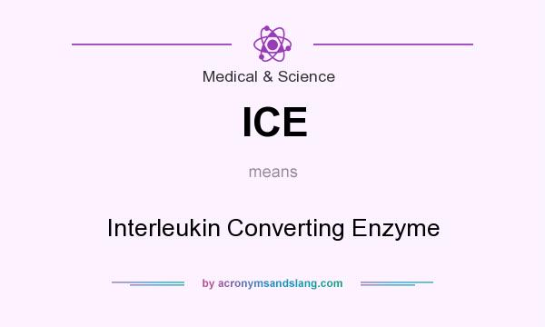What does ICE mean? It stands for Interleukin Converting Enzyme