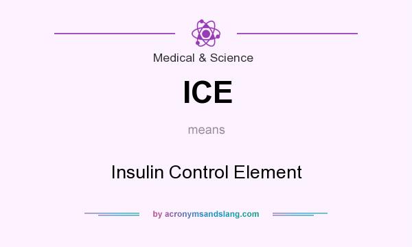 What does ICE mean? It stands for Insulin Control Element