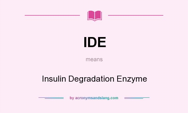 What does IDE mean? It stands for Insulin Degradation Enzyme
