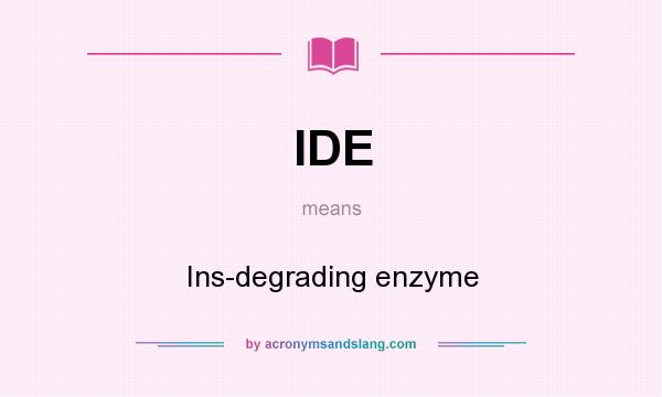 What does IDE mean? It stands for Ins-degrading enzyme