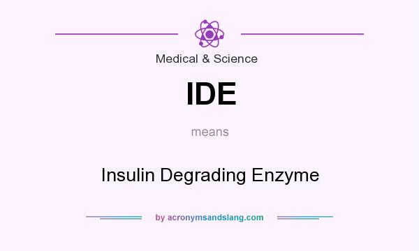 What does IDE mean? It stands for Insulin Degrading Enzyme