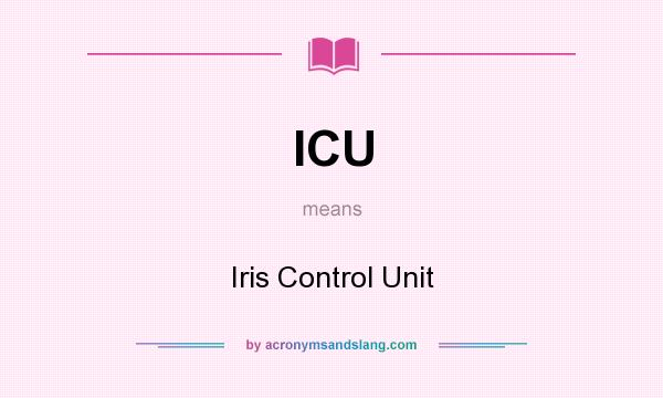 What does ICU mean? It stands for Iris Control Unit