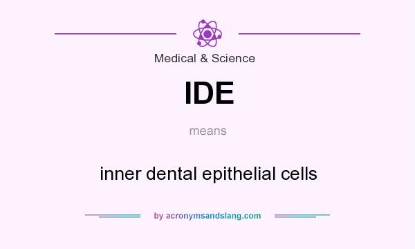 What does IDE mean? It stands for inner dental epithelial cells