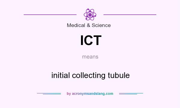 What does ICT mean? It stands for initial collecting tubule