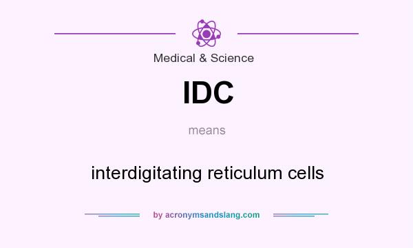 What does IDC mean? It stands for interdigitating reticulum cells