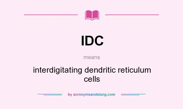 What does IDC mean? It stands for interdigitating dendritic reticulum cells