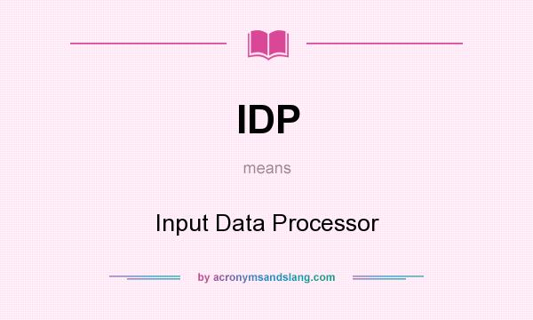 What does IDP mean? It stands for Input Data Processor