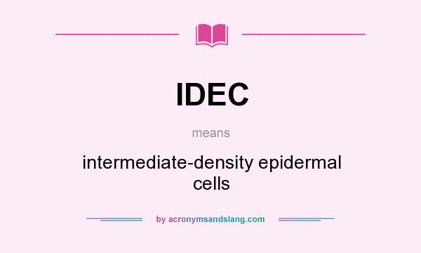 What does IDEC mean? It stands for intermediate-density epidermal cells