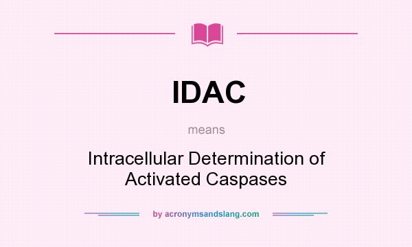 What does IDAC mean? It stands for Intracellular Determination of Activated Caspases
