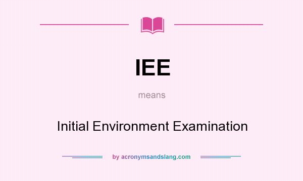 What does IEE mean? It stands for Initial Environment Examination