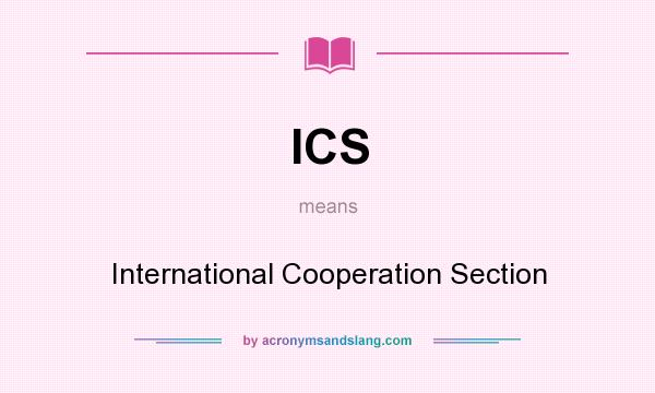 What does ICS mean? It stands for International Cooperation Section