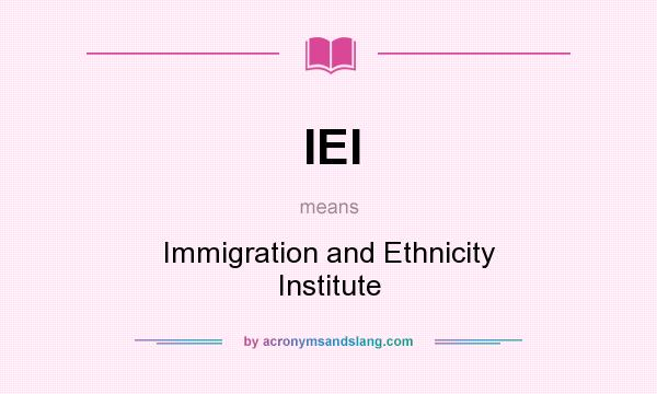 What does IEI mean? It stands for Immigration and Ethnicity Institute