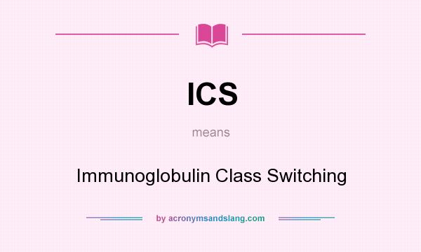 What does ICS mean? It stands for Immunoglobulin Class Switching