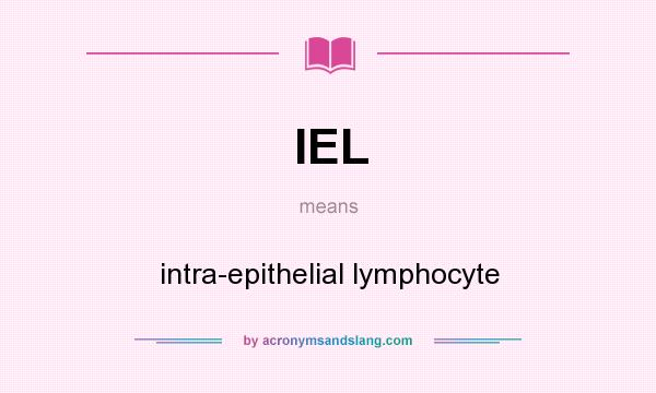 What does IEL mean? It stands for intra-epithelial lymphocyte