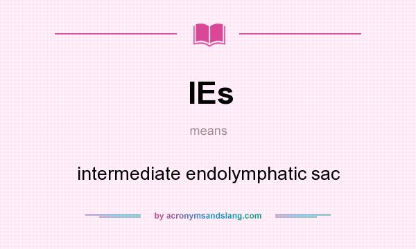 What does IEs mean? It stands for intermediate endolymphatic sac