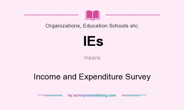 What does IEs mean? It stands for Income and Expenditure Survey