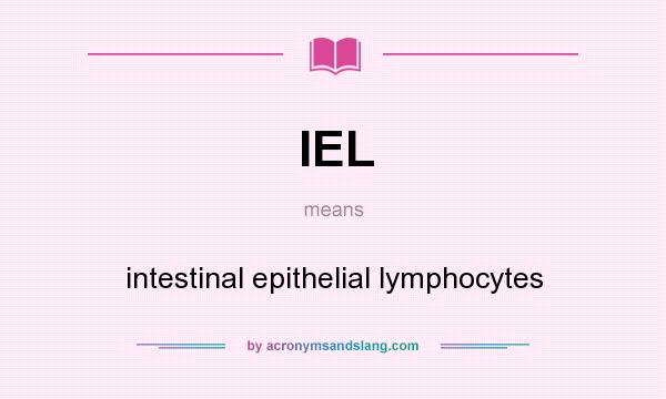What does IEL mean? It stands for intestinal epithelial lymphocytes