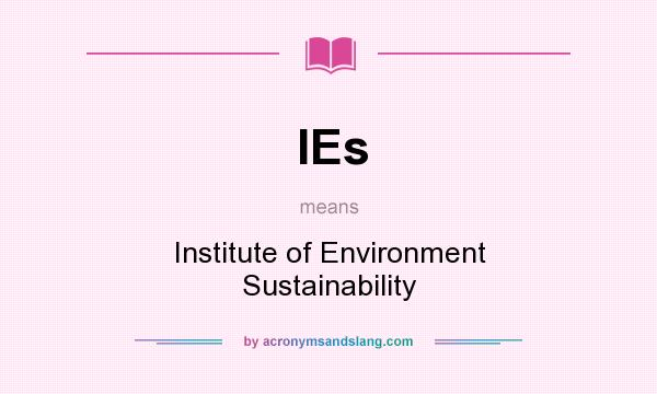 What does IEs mean? It stands for Institute of Environment Sustainability