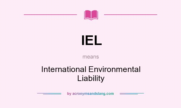 What does IEL mean? It stands for International Environmental Liability
