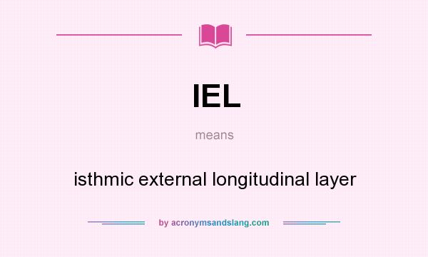 What does IEL mean? It stands for isthmic external longitudinal layer