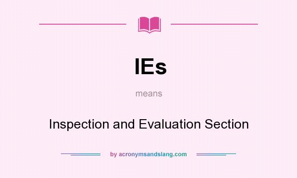 What does IEs mean? It stands for Inspection and Evaluation Section