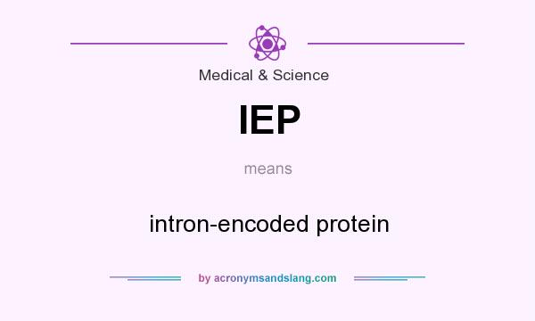 What does IEP mean? It stands for intron-encoded protein
