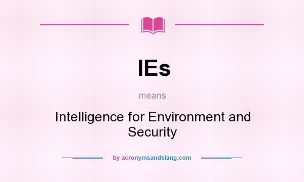 What does IEs mean? It stands for Intelligence for Environment and Security