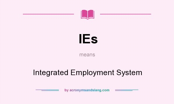 What does IEs mean? It stands for Integrated Employment System