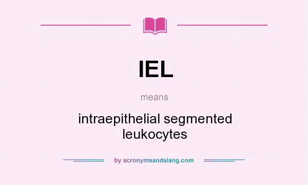 What does IEL mean? It stands for intraepithelial segmented leukocytes