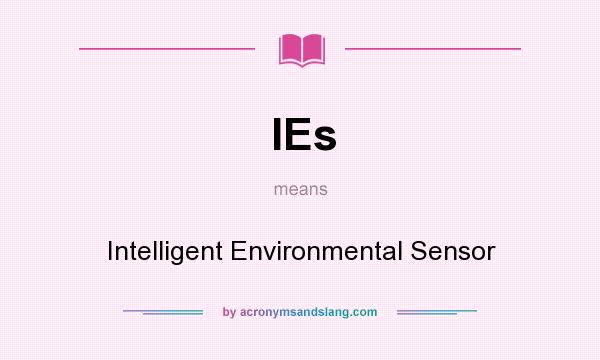 What does IEs mean? It stands for Intelligent Environmental Sensor