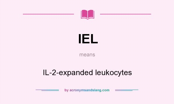 What does IEL mean? It stands for IL-2-expanded leukocytes