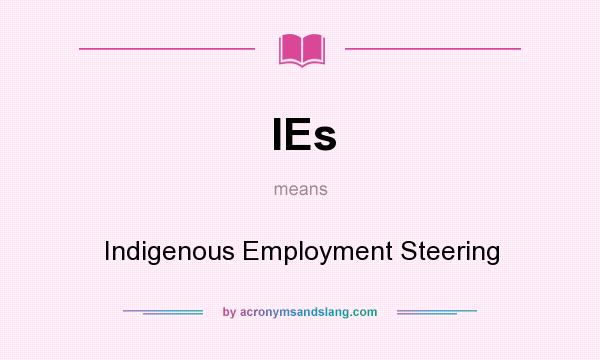 What does IEs mean? It stands for Indigenous Employment Steering