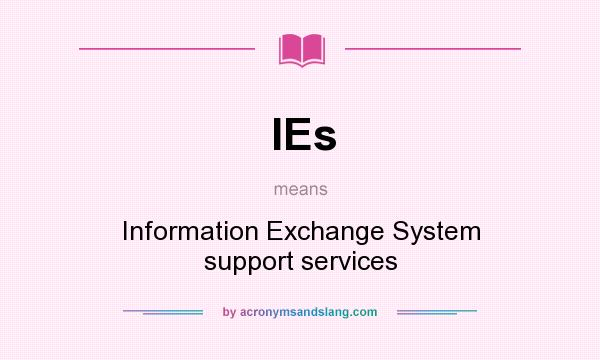What does IEs mean? It stands for Information Exchange System support services
