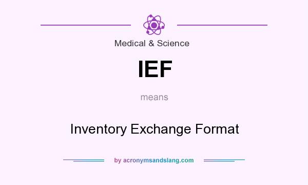 What does IEF mean? It stands for Inventory Exchange Format