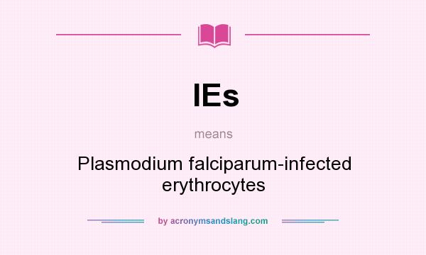 What does IEs mean? It stands for Plasmodium falciparum-infected erythrocytes