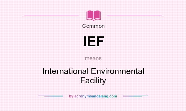 What does IEF mean? It stands for International Environmental Facility