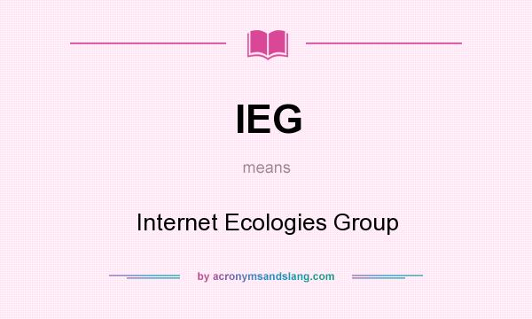 What does IEG mean? It stands for Internet Ecologies Group