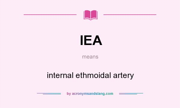 What does IEA mean? It stands for internal ethmoidal artery