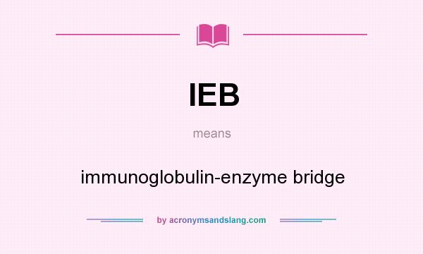 What does IEB mean? It stands for immunoglobulin-enzyme bridge