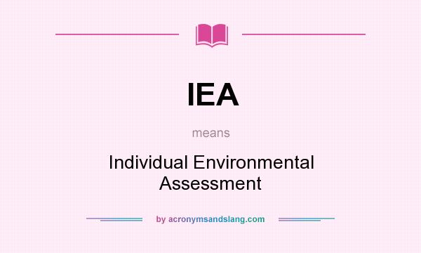 What does IEA mean? It stands for Individual Environmental Assessment