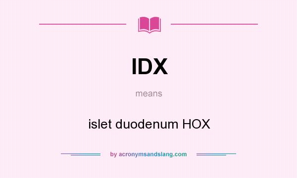 What does IDX mean? It stands for islet duodenum HOX