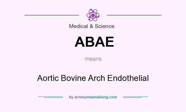 What does ABAE mean? It stands for Aortic Bovine Arch Endothelial
