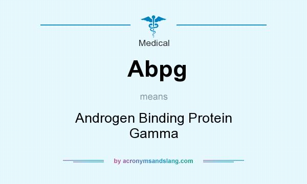 What does Abpg mean? It stands for Androgen Binding Protein Gamma