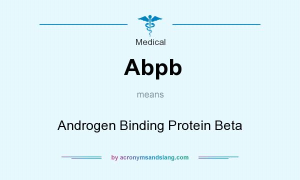 What does Abpb mean? It stands for Androgen Binding Protein Beta