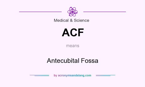 What does ACF mean? It stands for Antecubital Fossa