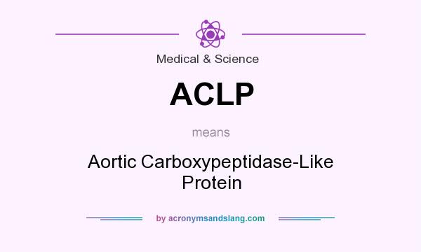 What does ACLP mean? It stands for Aortic Carboxypeptidase-Like Protein